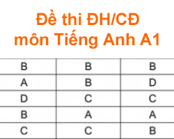 De thi dai hoc tieng Anh khoi A1 2012